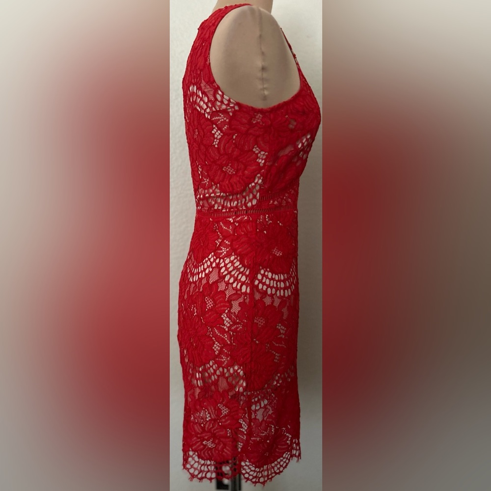 H&M Gold Label - Picture 9 of 11